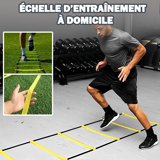 Échelle d'Entrainement