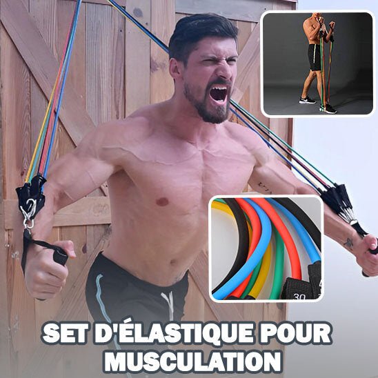 Elastique de Musculation - royaume fitness