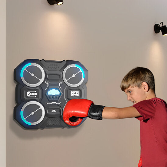 Machine de Boxe Murale